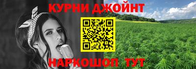 гашик Волгодонск