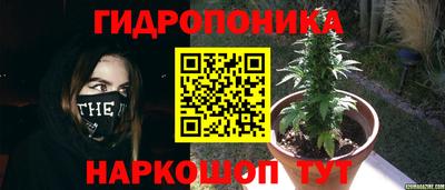 индика Волжск