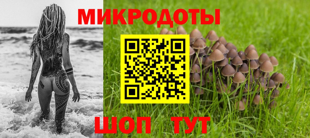 Касимов  Псилоцибиновые грибы Magic Shrooms  Вход с VPN 